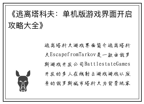 《逃离塔科夫：单机版游戏界面开启攻略大全》